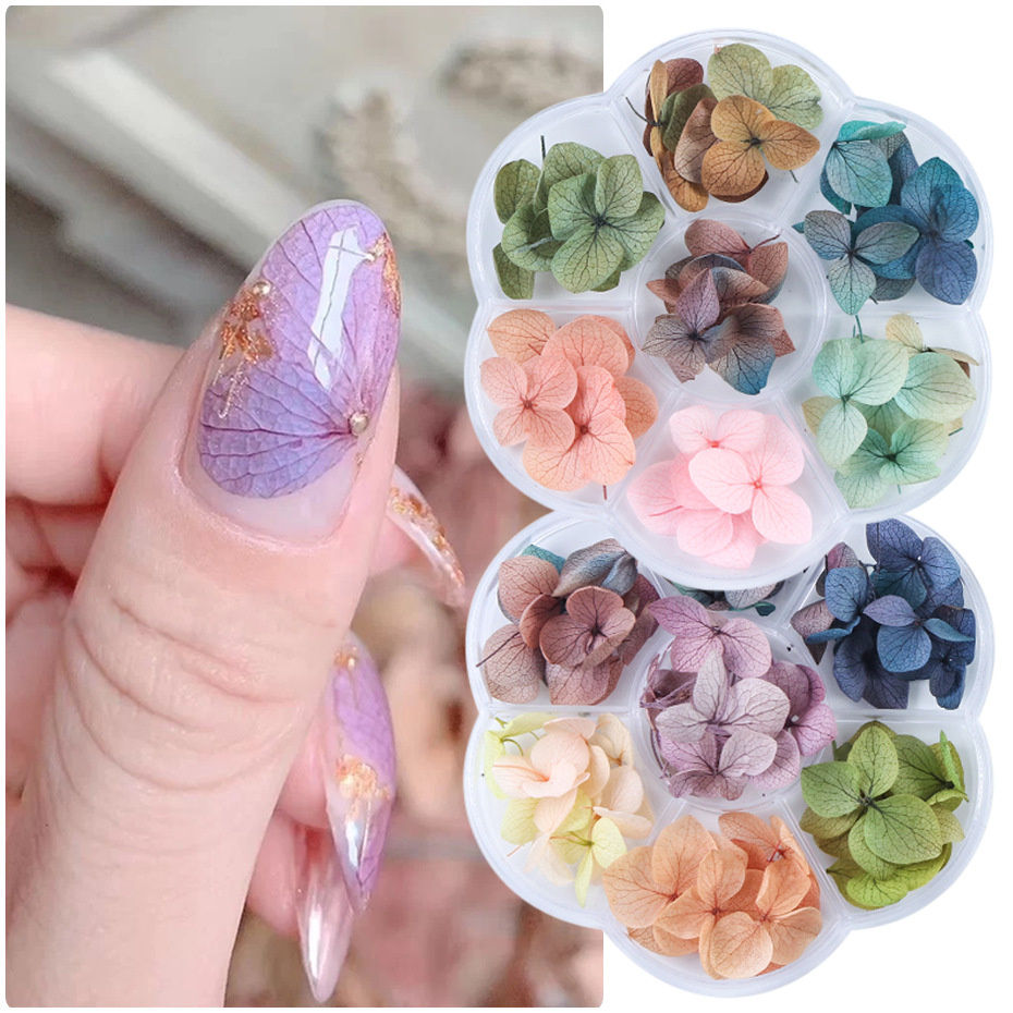 Färger Nageltorkade blommor